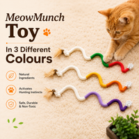 MeowMunch™ Toy